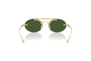 Achteraanzicht Versace VE2295 (100271)
