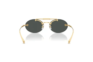 Achteraanzicht Versace VE2295 (100287)