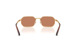 Achteraanzicht Versace VE2297 (100273)