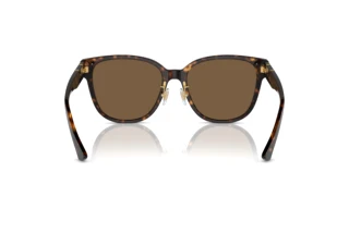 Achteraanzicht Versace VE4460D (108/73)