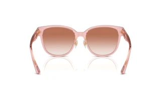 Achteraanzicht Versace VE4460D (543413)