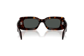 Achteraanzicht Versace VE4474U (108/87)