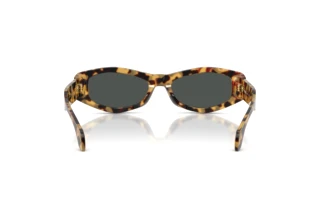 Achteraanzicht Versace VE4487 (777/87)