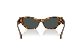 Achteraanzicht Versace VE4488U (551487)