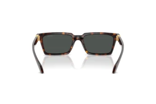 Achteraanzicht Versace VE4490U (108/87)