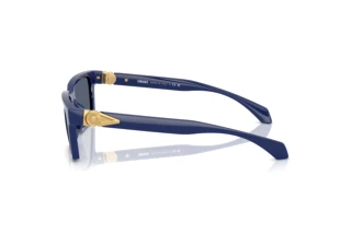 Zijaanzicht Versace VE4490U (545087)