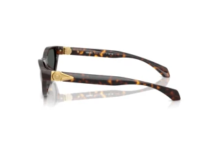 Zijaanzicht Versace VE4491U (108/87)