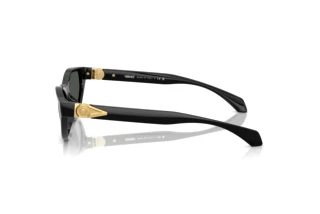 Zijaanzicht Versace VE4491U (GB1/87)