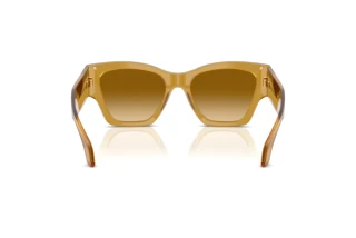 Achteraanzicht Versace VE4492U (53472L)