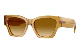 Vooraanzicht Versace VE4492U (53472L)