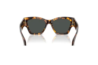 Achteraanzicht Versace VE4492U (551487)