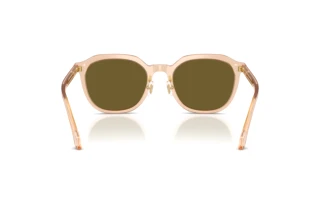 Achteraanzicht Versace VE4493D (551883)