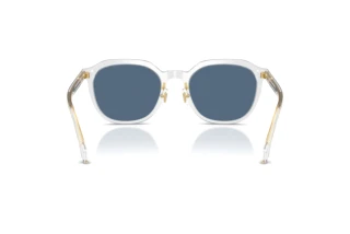 Achteraanzicht Versace VE4493D (551971)