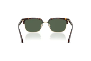 Achteraanzicht Versace VE4494D (108/71)