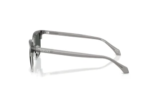 Zijaanzicht Versace VE4494D (593/87)