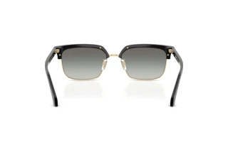 Achteraanzicht Versace VE4494D (GB1/11)