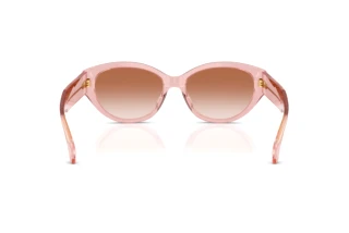 Achteraanzicht Versace VE4495D (543413)