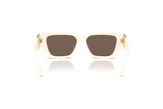 Achteraanzicht Versace VE4497U (314/73)