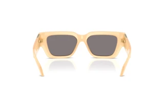 Achteraanzicht Versace VE4497U (554473)