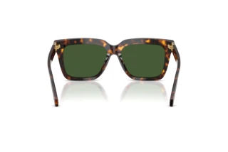 Achteraanzicht Versace VE4498 (108/71)