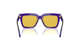 Achteraanzicht Versace VE4498 (554585)