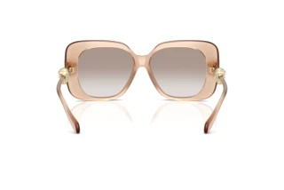 Achteraanzicht Versace VE4499U (55386E)