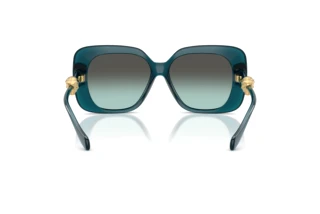Achteraanzicht Versace VE4499U (55402A)