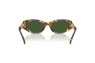 Achteraanzicht Versace VE4501 (551471)