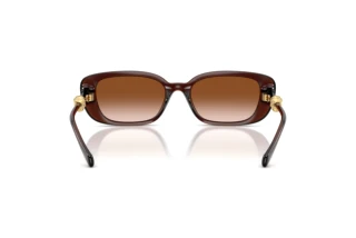 Achteraanzicht Versace VE4504D (533213)
