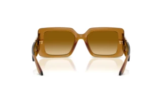 Achteraanzicht Versace VE4505U (53422L)
