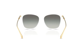 Achteraanzicht Versace VE4507U (314/11)