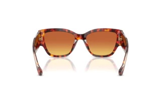 Achteraanzicht Versace VE4509U (5543T5)
