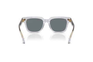 Achteraanzicht Versace VE4510U (530580)