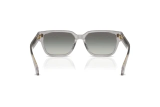 Achteraanzicht Versace VE4513D (593/11)