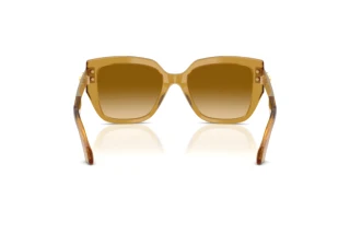 Achteraanzicht Versace VE4517U (53472L)