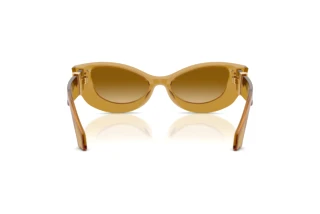 Achteraanzicht Versace VE4520U (53472L)