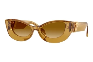 Vooraanzicht Versace VE4520U (53472L)