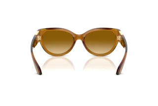 Achteraanzicht Versace VE4524U (53472L)