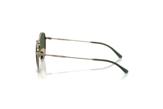 Zijaanzicht Vogue Eyewear VJ1002 (513871)