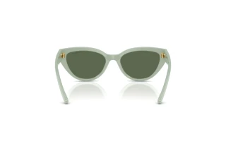 Achteraanzicht Vogue Eyewear VJ2026 (318371)