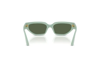 Achteraanzicht Vogue Eyewear VJ2029 (320571)
