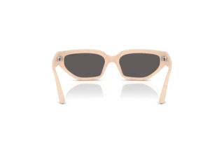 Achteraanzicht Vogue Eyewear VJ2029 (320687)