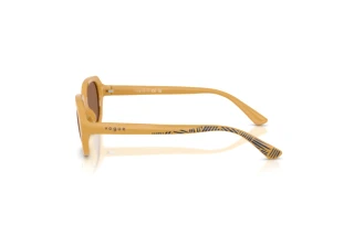 Zijaanzicht Vogue Eyewear VJ2035 (327373)