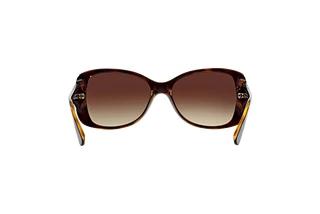 Achteraanzicht Vogue Eyewear VO2843S (W65613)