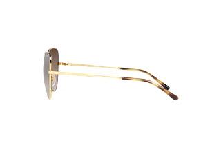 Zijaanzicht Vogue Eyewear VO4255S (280/13)
