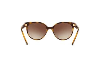 Achteraanzicht Vogue Eyewear VO5246S (W65613)