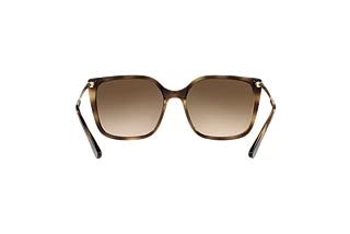 Achteraanzicht Vogue Eyewear VO5353S (W65613)