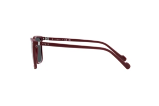 Zijaanzicht Vogue Eyewear VO5493S (304887)