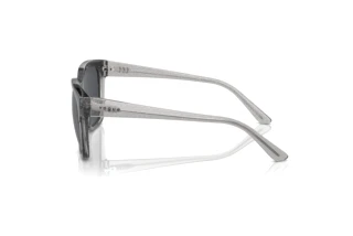 Zijaanzicht Vogue Eyewear VO5558S (313387)