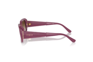 Zijaanzicht Vogue Eyewear VO5565S (312313)